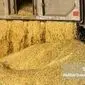 افشاگری جدید در بازار نهاده‌های دامی؛ فروش صوری و کوتاژهای تقلبی