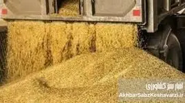 افشاگری جدید در بازار نهاده‌های دامی؛ فروش صوری و کوتاژهای تقلبی