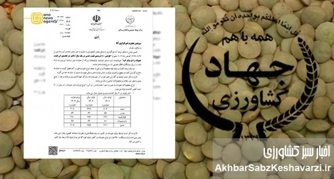 کاهش ۵۱ درصدی تولید حبوبات در دوران صدارت نوری+نامه 