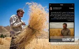 وقتی پول گندمکاران پای میز پذیرایی اجلاس‌های پرتجمل می‌سوزد