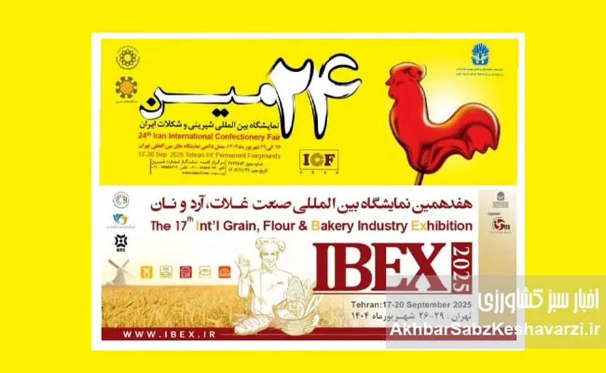 صنعت شیرینی و شکلات ایران: ارزآوری، پتانسیل صادراتی و جایگاه در بازارهای جهانی