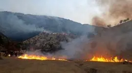 آتش‌سوزی‌های سریالی در جنگل‌های خوزستان به اوج رسید

