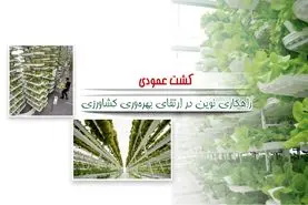 کشت عمودی راهکاری نوین در ارتقای بهره‌وری کشاورزی

