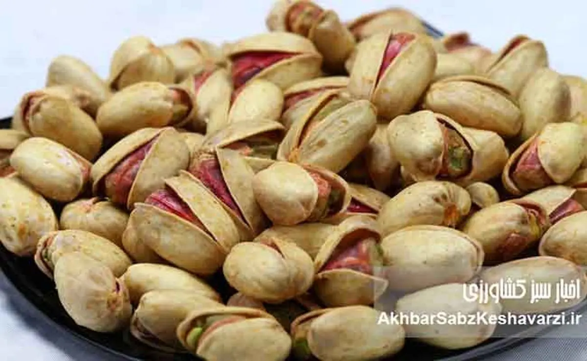 خروج پسته ایران از لیست سیاه اروپا