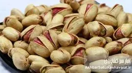 خروج پسته ایران از لیست سیاه اروپا