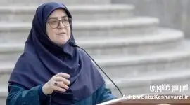 جمع‌آوری دیش ماهواره؟ واکنش مهاجرانی: غیرقانونی و تهدیدی است!