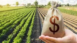 پیشنهاد و پروپوزال برای بهترین نرخ‌های وام کشاورزی 