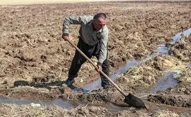 عراق در پی طرح گسترده آبیاری است، چرا که کشاورزی با رکود مواجه است