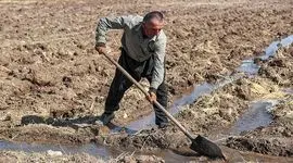 عراق در پی طرح گسترده آبیاری است، چرا که کشاورزی با رکود مواجه است
