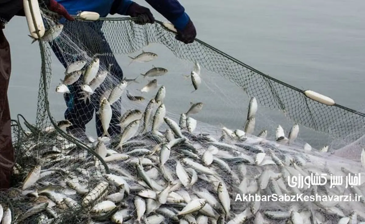 شیلات؛ اثرگذاری فراتر از تولید