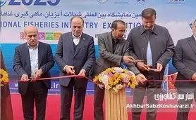 جهش ۴۰۰ هزار تنی شیلات؛ طرح جدید وزیر جهاد کشاورزی برای تولیدکنندگان