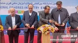 جهش ۴۰۰ هزار تنی شیلات؛ طرح جدید وزیر جهاد کشاورزی برای تولیدکنندگان