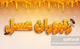 حقایقی درباره زنبوران عسل