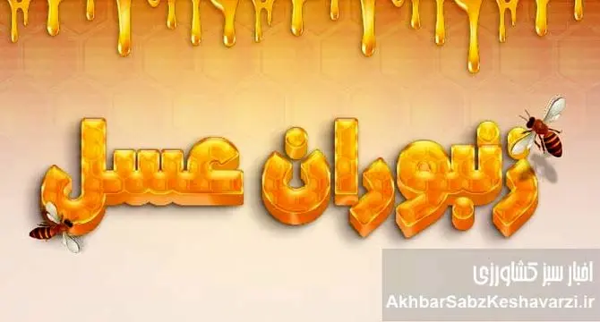 حقایقی درباره زنبوران عسل