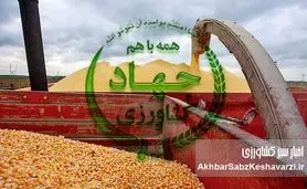 واردات ذرت درجه‌۲ با ارز دولتی؛ تهدید تازه برای امنیت غذایی و شواهدی از ناترازی مدیریتی+ ویدئو