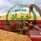 واردات ذرت درجه‌۲ با ارز دولتی؛ تهدید تازه برای امنیت غذایی و شواهدی از ناترازی مدیریتی+ ویدئو