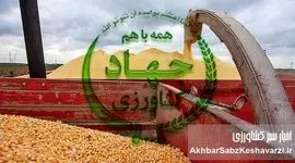 واردات ذرت درجه‌۲ با ارز دولتی؛ تهدید تازه برای امنیت غذایی و شواهدی از ناترازی مدیریتی+ ویدئو