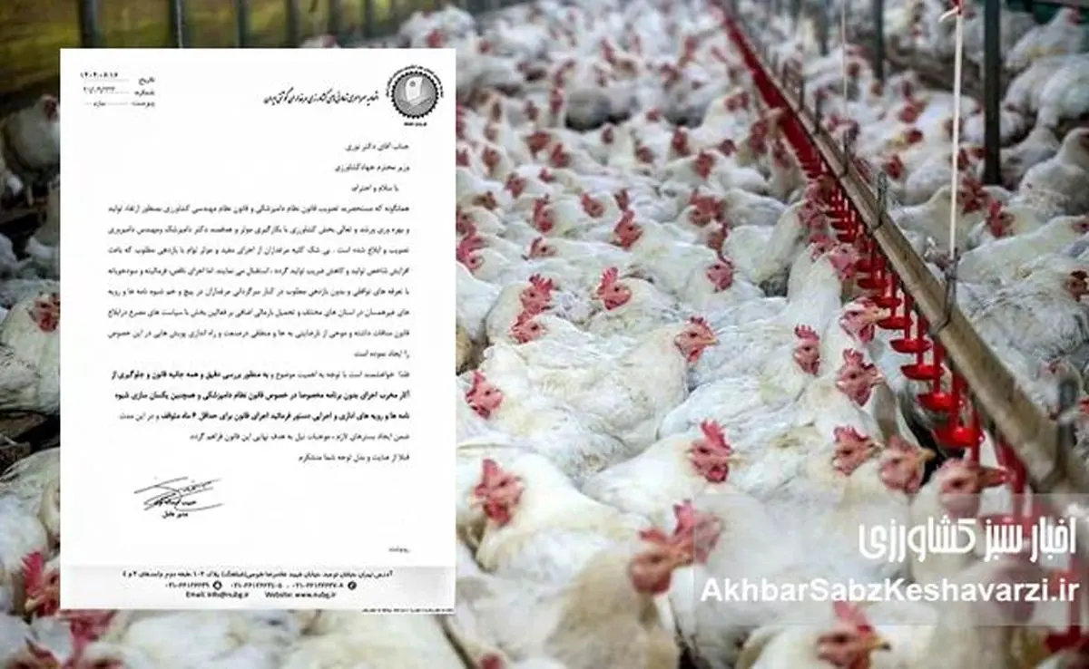 اعتراض گسترده مرغداران به قوانین جدید؛ دامپزشکان و مهندسان دامپروری فقط بار مالی اضافه هستند+ نامه