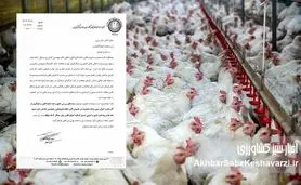 اعتراض گسترده مرغداران به قوانین جدید؛ دامپزشکان و مهندسان دامپروری فقط بار مالی اضافه هستند+ نامه