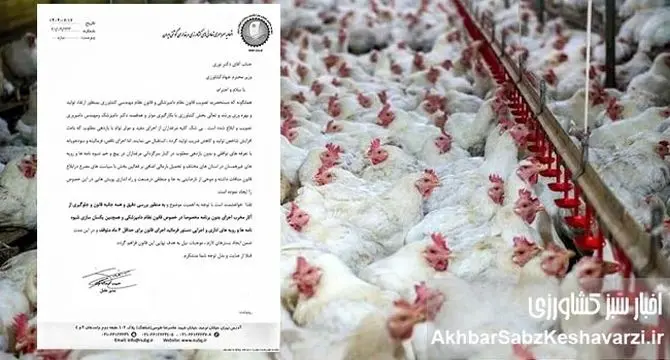 اعتراض گسترده مرغداران به قوانین جدید؛ دامپزشکان و مهندسان دامپروری فقط بار مالی اضافه هستند+ نامه