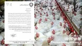 اعتراض گسترده مرغداران به قوانین جدید؛ دامپزشکان و مهندسان دامپروری فقط بار مالی اضافه هستند+ نامه