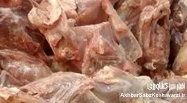  گرانی مرغ تا کجا مردم را عقب راند؟/ خرده‌مرغ هم مشتری پیدا کرد