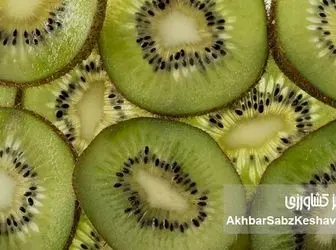کیوی، آلو و آب معدنی؛ راز طبیعی رفع یبوست بدون دارو