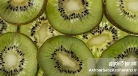 کیوی، آلو و آب معدنی؛ راز طبیعی رفع یبوست بدون دارو