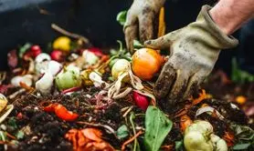 تبدیل زباله های غذایی به خاک حاصلخیز برای رشد پایدار