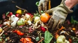 تبدیل زباله های غذایی به خاک حاصلخیز برای رشد پایدار