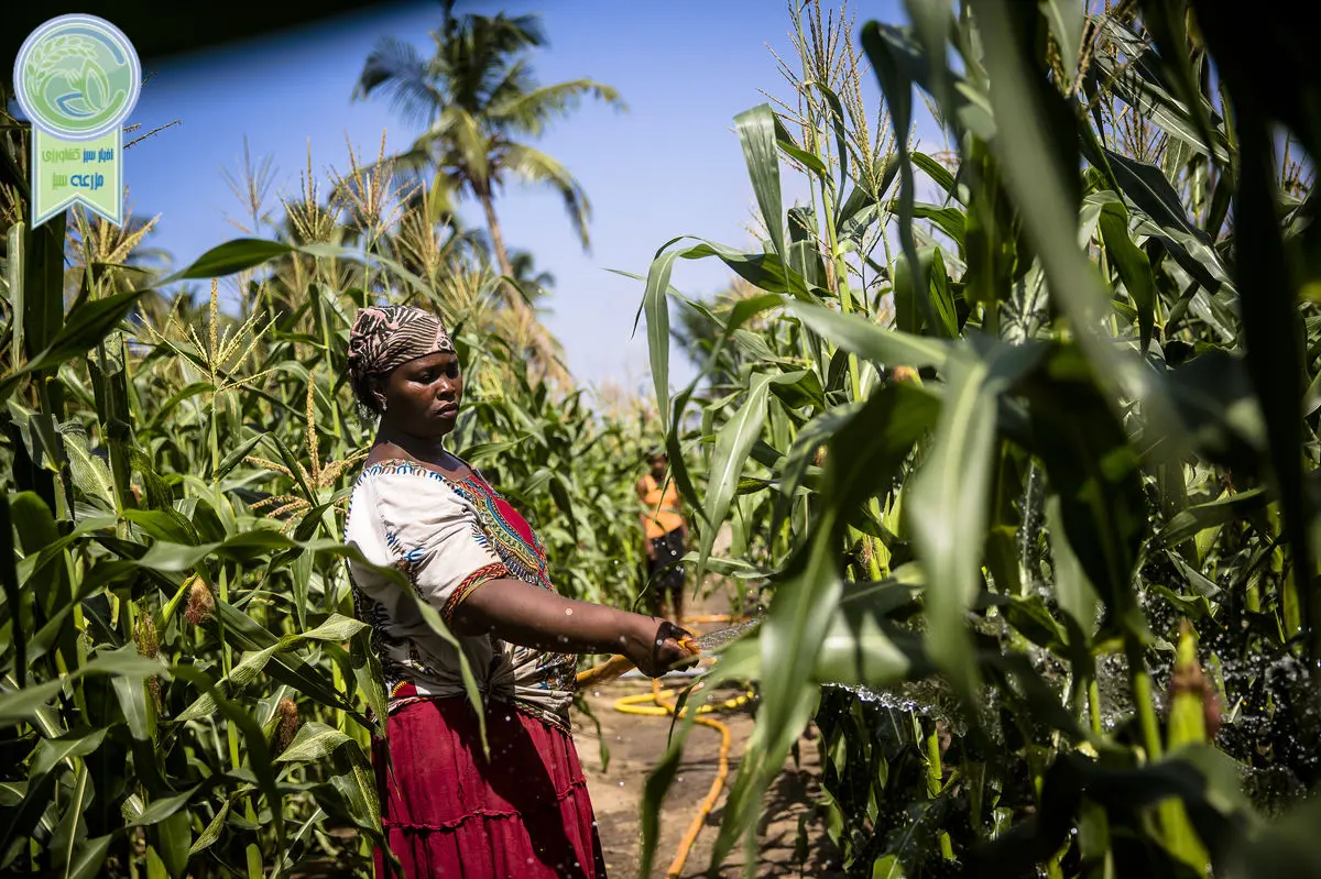 اجلاس و نمایشگاه سرمایه‌گذاری محصولات درختی غنا