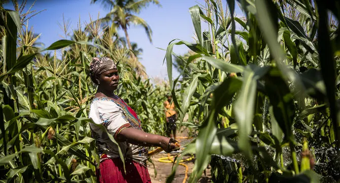 اجلاس و نمایشگاه سرمایه‌گذاری محصولات درختی غنا