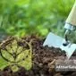 چالش‌های تولید کودهای پایه در ایران به واسطه عدم تأمین ارز و واردات مواد اولیه