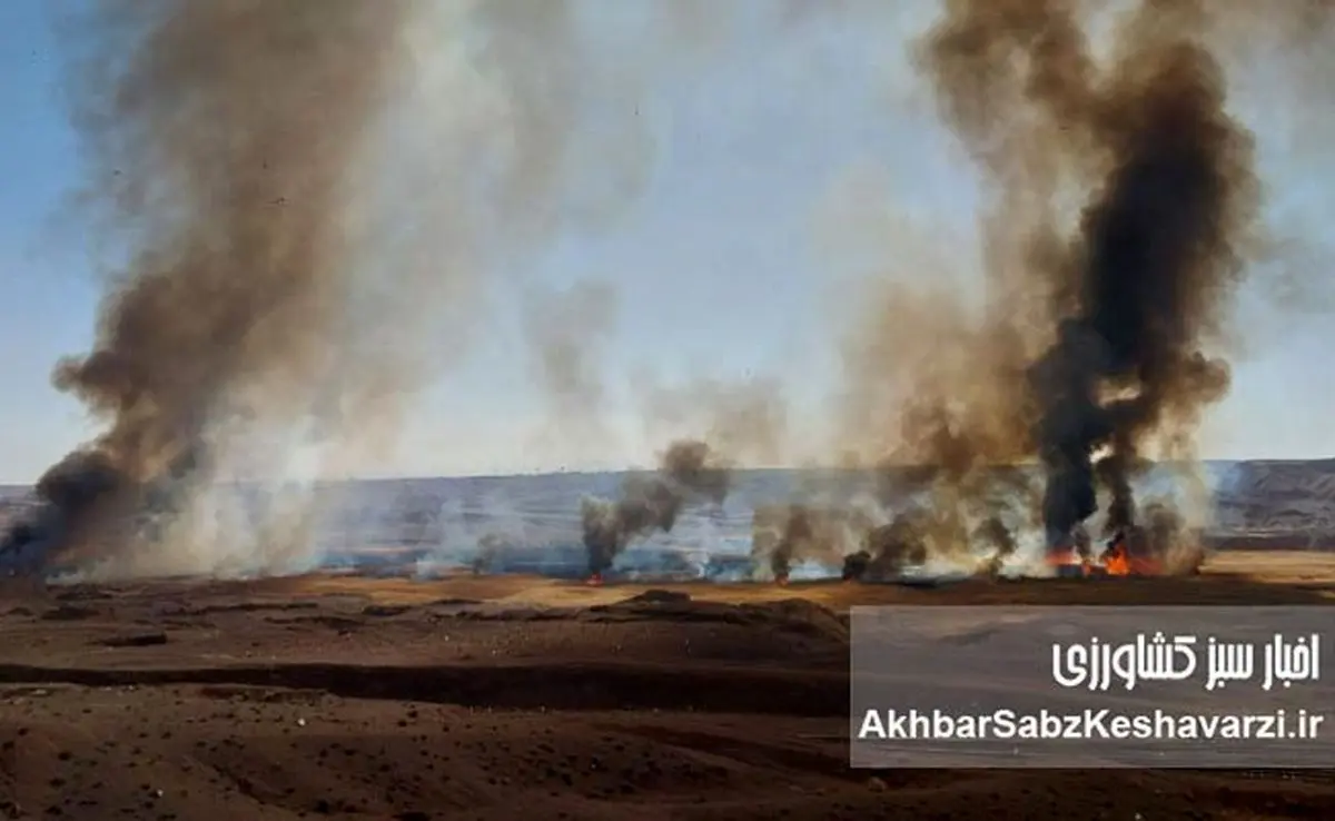 فاجعه زیست‌محیطی در خلیج فارس؛ هشدار جدی درباره پیامدهای جنگ