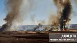 فاجعه زیست‌محیطی در خلیج فارس؛ هشدار جدی درباره پیامدهای جنگ