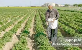 توزیع کود شیمیایی کشاورزان به زودی آغاز می‌شود
