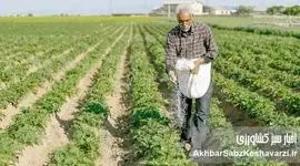 توزیع کود شیمیایی کشاورزان به زودی آغاز می‌شود