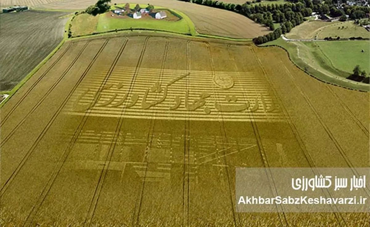 بیانیه صنفی نمایندگان کارکنان وزارت جهاد کشاورزی؛ عدالت حقوقی و شفافیت مزایا