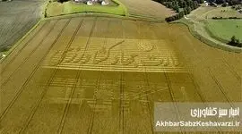 بیانیه صنفی نمایندگان کارکنان وزارت جهاد کشاورزی؛ عدالت حقوقی و شفافیت مزایا