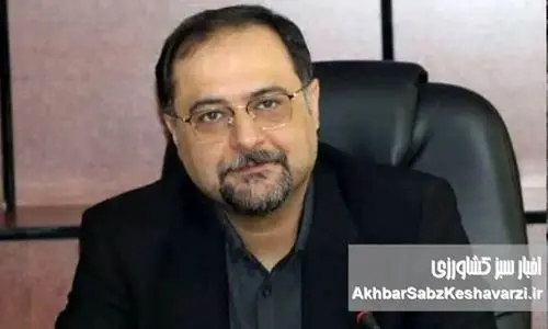 مسئله غذا، انرژی و پیچیدگی های ژئوپلیتیکی تنگه هرمز