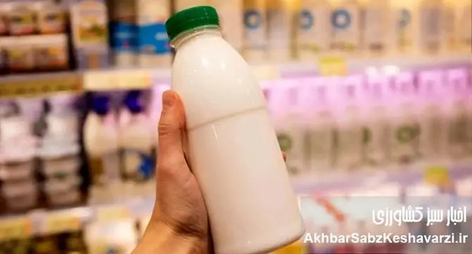 جراحی اقتصادی یا حذف غذا؟ سقوط مصرف شیر در سفره ایرانی