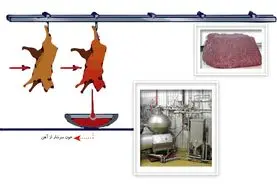 فرآوری خون حاصل از کشتارگاه‌ها

