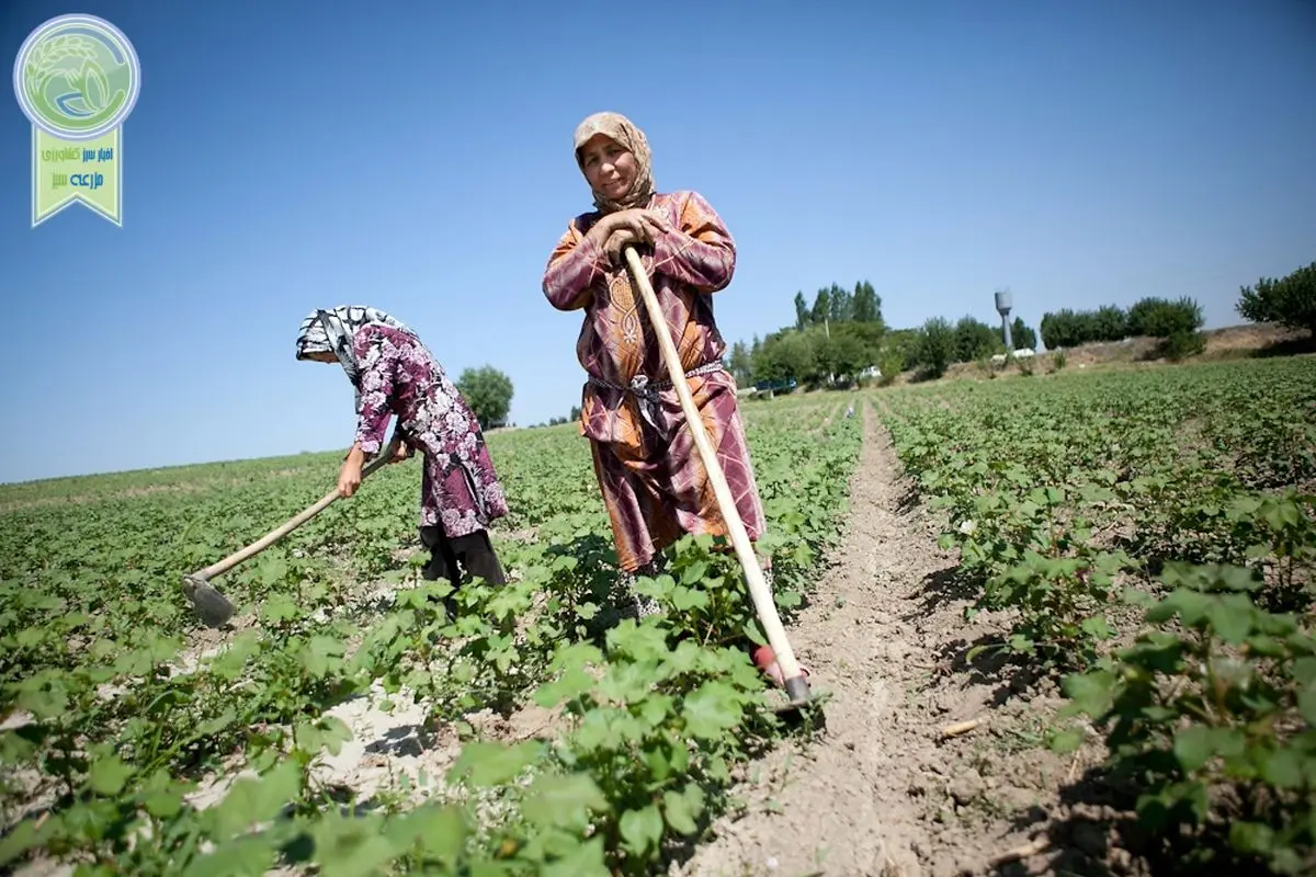 پروژه‌ای ۴.۵ میلیون دلاری را برای تقویت زنجیره‌های ارزش کشاورزی در قرقیزستان