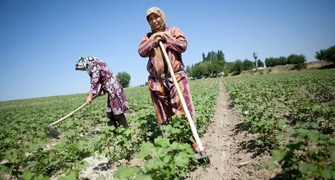 پروژه‌ای ۴.۵ میلیون دلاری را برای تقویت زنجیره‌های ارزش کشاورزی در قرقیزستان