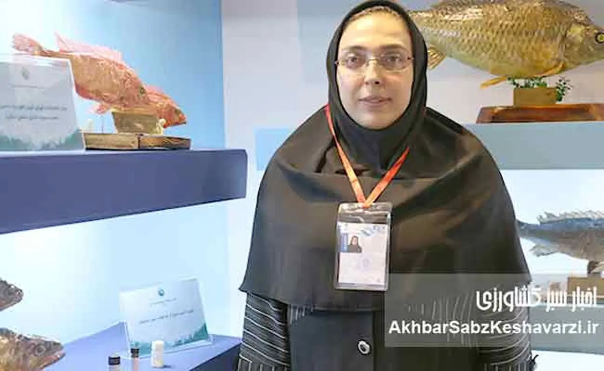 برای نخستین بار در کشور؛ نسل ششم پرورشی ماهی آزاد دریای کاسپین وارد قفس‌های پرورش ماهی شد