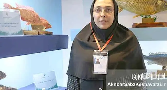 برای نخستین بار در کشور؛ نسل ششم پرورشی ماهی آزاد دریای کاسپین وارد قفس‌های پرورش ماهی شد