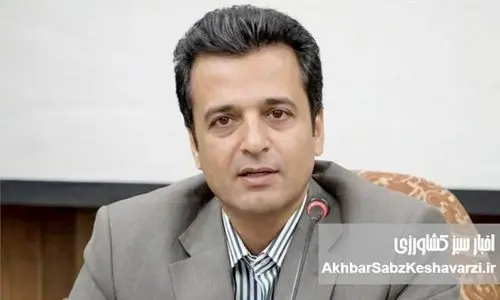  الزامات بازطراحی نظام برنامه‌ریزی، نظارت و ارزیابی در وزارت جهاد کشاورزی برای مواجهه با پیچیدگی و عدم قطعیت