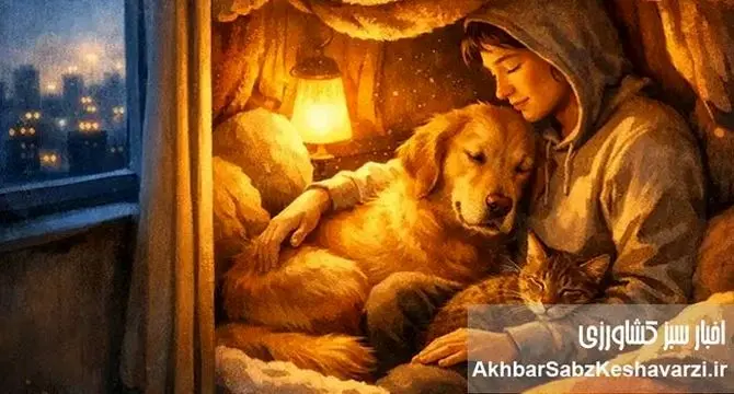 وقتی شهر فریاد می‌کشد، آن‌ها چه می‌شنوند؟