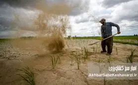 سقوط کم‌سابقه کشاورزی در ۱۴۰۴؛ رشد منفی ۷.۳ درصد در سایه بی‌توجهی به مدیریت آب+ جدول