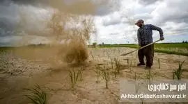 سقوط کم‌سابقه کشاورزی در ۱۴۰۴؛ رشد منفی ۷.۳ درصد در سایه بی‌توجهی به مدیریت آب+ جدول